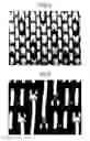Fig. 04 - Industrial two-layer fabric