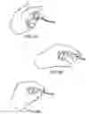 Fig. 09 - Light-up toy