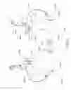 Fig. 05 - Brassiere