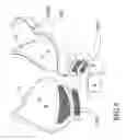 Fig. 07 - Brassiere