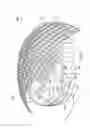 Fig. 18 - SYSTEMS AND METHODS FOR CONTROLLING AN INDOOR/OUTDOOR STADIUM