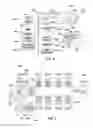 Fig. 08 - Gesture cataloging and recognition