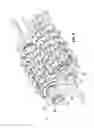 Fig. 06 - Bearing housing