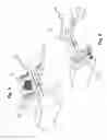 Fig. 04 - Golf putting practice device and methods of practicing putting thereof