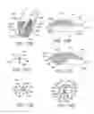 Fig. 09 - TRANSLATORY MOTION STRENGTH TRAINING SYSTEM AND METHOD