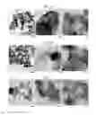 Fig. 02 - Methods of preparing electrocatalysts for fuel cells in core-shell structure and electrocatalysts