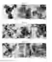 Fig. 03 - Methods of preparing electrocatalysts for fuel cells in core-shell structure and electrocatalysts