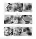 Fig. 04 - Methods of preparing electrocatalysts for fuel cells in core-shell structure and electrocatalysts