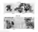 Fig. 06 - Methods of preparing electrocatalysts for fuel cells in core-shell structure and electrocatalysts