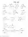 Fig. 07 - POLLINATION IMPROVER