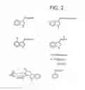 Fig. 08 - POLLINATION IMPROVER