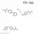 Fig. 15 - POLLINATION IMPROVER
