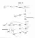 Fig. 16 - POLLINATION IMPROVER