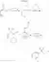 Fig. 14 - INCREASING PLANT VIGOR