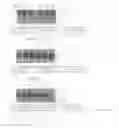 Fig. 05 - GENOME DETERMINATION ASSAY