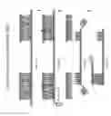 Fig. 06 - GENOME DETERMINATION ASSAY