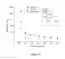 Fig. 17 - SINGLE MOLECULE SPECTROSCOPY FOR ANALYSIS OF CELL-FREE NUCLEIC ACID BIOMARKERS