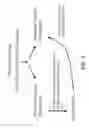 Fig. 02 - METHODS FOR DETERMINING SENSITIVITY TO VASCULAR ENDOTHELIAL GROWTH FACTOR RECEPTOR-2 MODULATORS