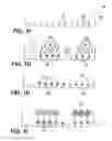 Fig. 03 - Multivalent opsonophagocytic assay using bead array and imaging
