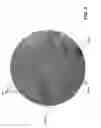 Fig. 05 - Multivalent opsonophagocytic assay using bead array and imaging