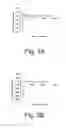 Fig. 04 - METHODS AND DEVICES FOR EARLY DETECTION OF CANCER CELLS AND TYPES THROUGH MICROMECHANICAL INTERACTIONS