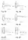Fig. 06 - METHODS AND DEVICES FOR EARLY DETECTION OF CANCER CELLS AND TYPES THROUGH MICROMECHANICAL INTERACTIONS