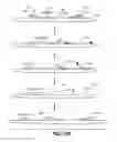 Fig. 09 - High throughput genome sequencing on DNA arrays