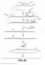 Fig. 12 - High throughput genome sequencing on DNA arrays