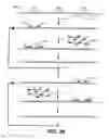 Fig. 16 - High throughput genome sequencing on DNA arrays