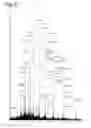 Fig. 03 - Lysine compounds and their use in site- and chemoselective modification of peptides and proteins