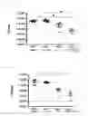 Fig. 09 - Anti-Gram Negative Bacteria Agent
