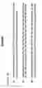 Fig. 10 - Modified exendins and exendin agonists