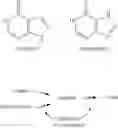 Fig. 56 - Methods of modulating uric acid levels