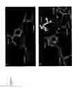 Fig. 10 - METHOD OF MODIFYING SERINE PROTEASE INHIBITORS