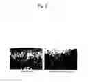 Fig. 03 - Combined preparation for treating joint diseases