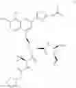 Fig. 22 - COMBINATION THERAPY FOR TREATING HCV INFECTION