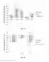 Fig. 03 - Compositions containing mixtures of fermentable fibers