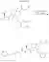 Fig. 82 - IAP inhibitors