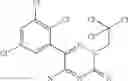Fig. 16 - Cyclic triazo sodium channel blockers