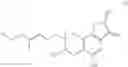 Fig. 07 - Cytoprotective agent