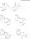 Fig. 07 - PHARMACEUTICAL COMPOSITION COMPRISING A LACTAM OR BENZENESULFONAMIDE COMPOUND