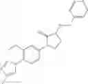 Fig. 370 - PHARMACEUTICAL COMPOSITION COMPRISING A LACTAM OR BENZENESULFONAMIDE COMPOUND