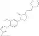 Fig. 376 - PHARMACEUTICAL COMPOSITION COMPRISING A LACTAM OR BENZENESULFONAMIDE COMPOUND