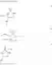 Fig. 61 - PHARMACEUTICAL COMPOSITION COMPRISING A LACTAM OR BENZENESULFONAMIDE COMPOUND
