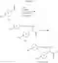 Fig. 43 - Cold menthol receptor antagonists