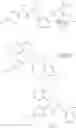 Fig. 68 - Cold menthol receptor antagonists