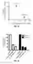 Fig. 03 - Methods and compositions for treating degenerative and ischemic disorders