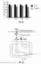 Fig. 13 - Methods and compositions for treating degenerative and ischemic disorders