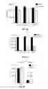 Fig. 14 - Methods and compositions for treating degenerative and ischemic disorders
