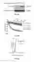 Fig. 24 - Methods and compositions for treating degenerative and ischemic disorders